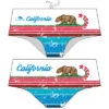 SUPER TANK FRANCE 14cm. CALIFORNIA BEAR -Turbo super tank france 14cm california bear 73014317